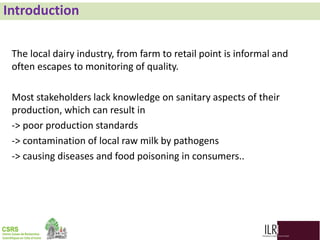 Biodiversity, phylogenetic relationship and antibacterial potential of Bifidobacterium species isolated from raw milk production chain in Abidjan, Côte d'Ivoire
