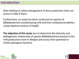 Biodiversity, phylogenetic relationship and antibacterial potential of Bifidobacterium species isolated from raw milk production chain in Abidjan, Côte d'Ivoire