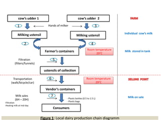 Biodiversity, phylogenetic relationship and antibacterial potential of Bifidobacterium species isolated from raw milk production chain in Abidjan, Côte d'Ivoire