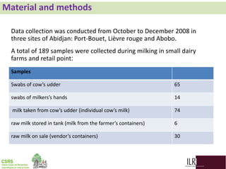 Biodiversity, phylogenetic relationship and antibacterial potential of Bifidobacterium species isolated from raw milk production chain in Abidjan, Côte d'Ivoire