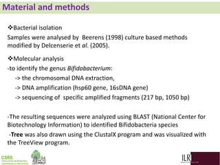 Biodiversity, phylogenetic relationship and antibacterial potential of Bifidobacterium species isolated from raw milk production chain in Abidjan, Côte d'Ivoire