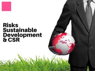 Risks
Sustainable
Development
& CSR
 