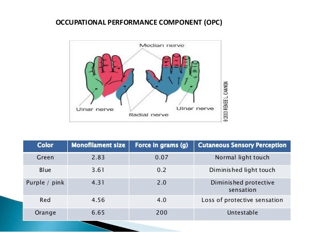 Orthopaedics Case Study Closed Displaced Fracture Of Radius