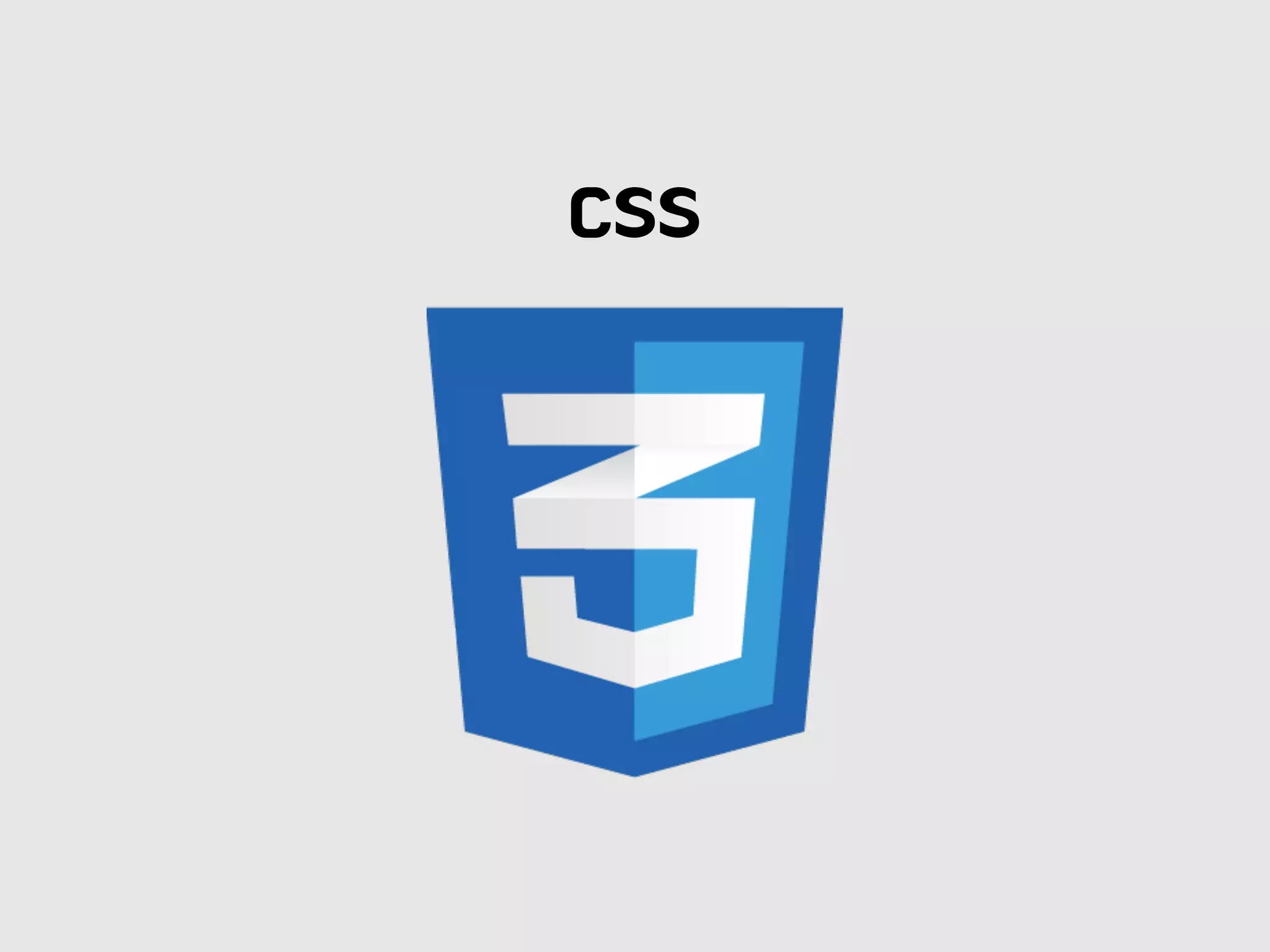 CSS
 