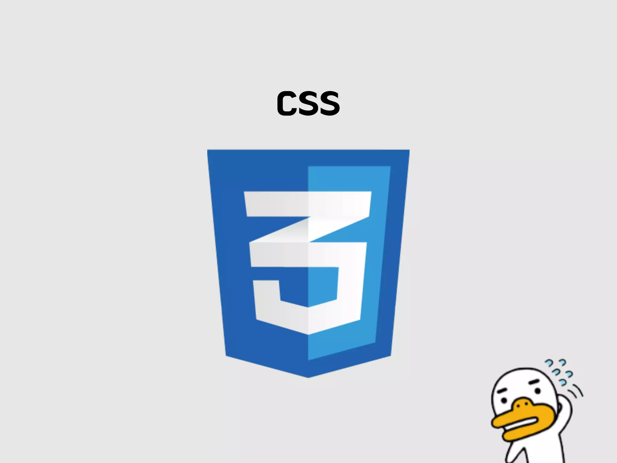 CSS
 