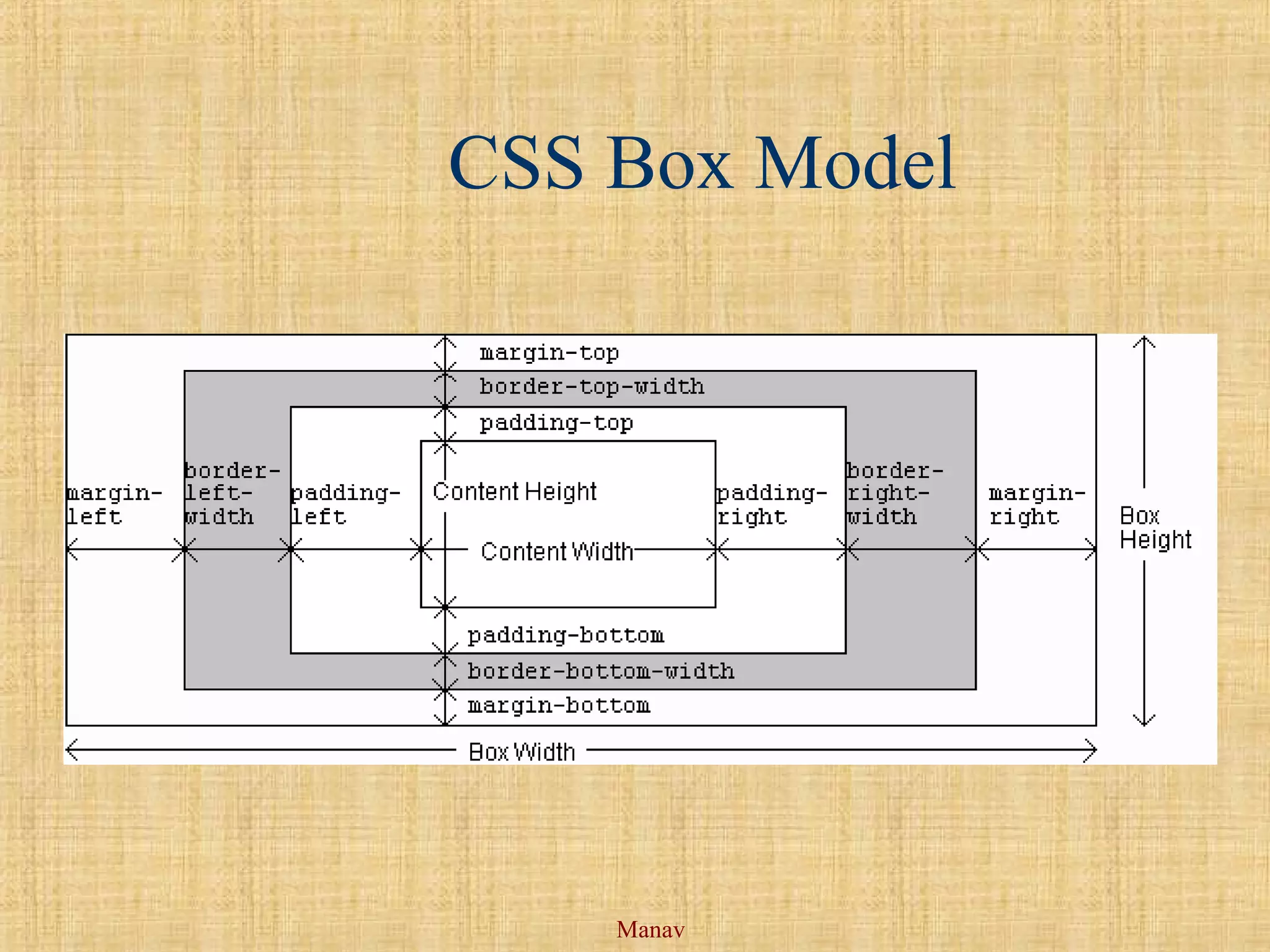 Manav
CSS Box Model
 