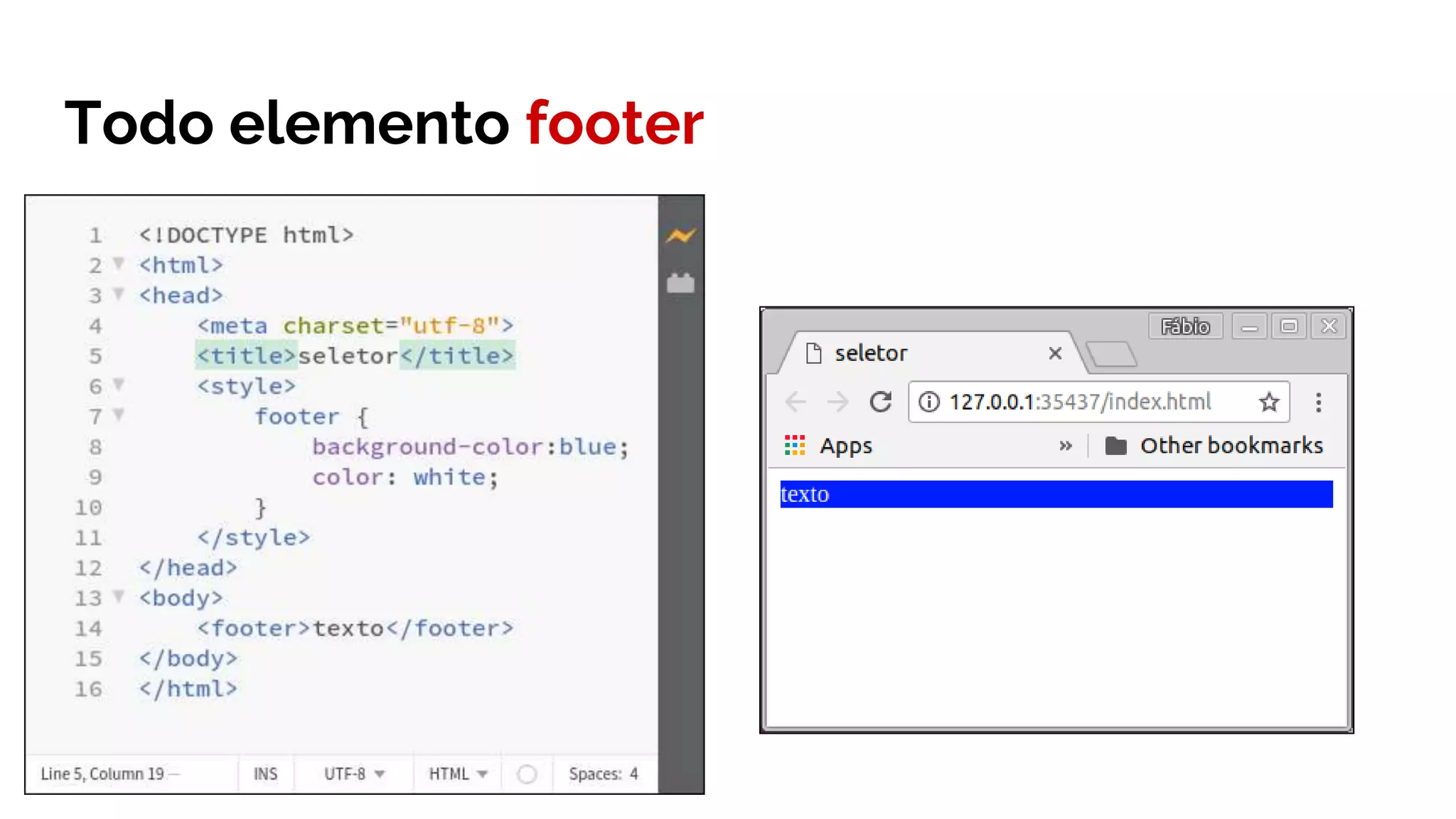 Todo elemento footer
 