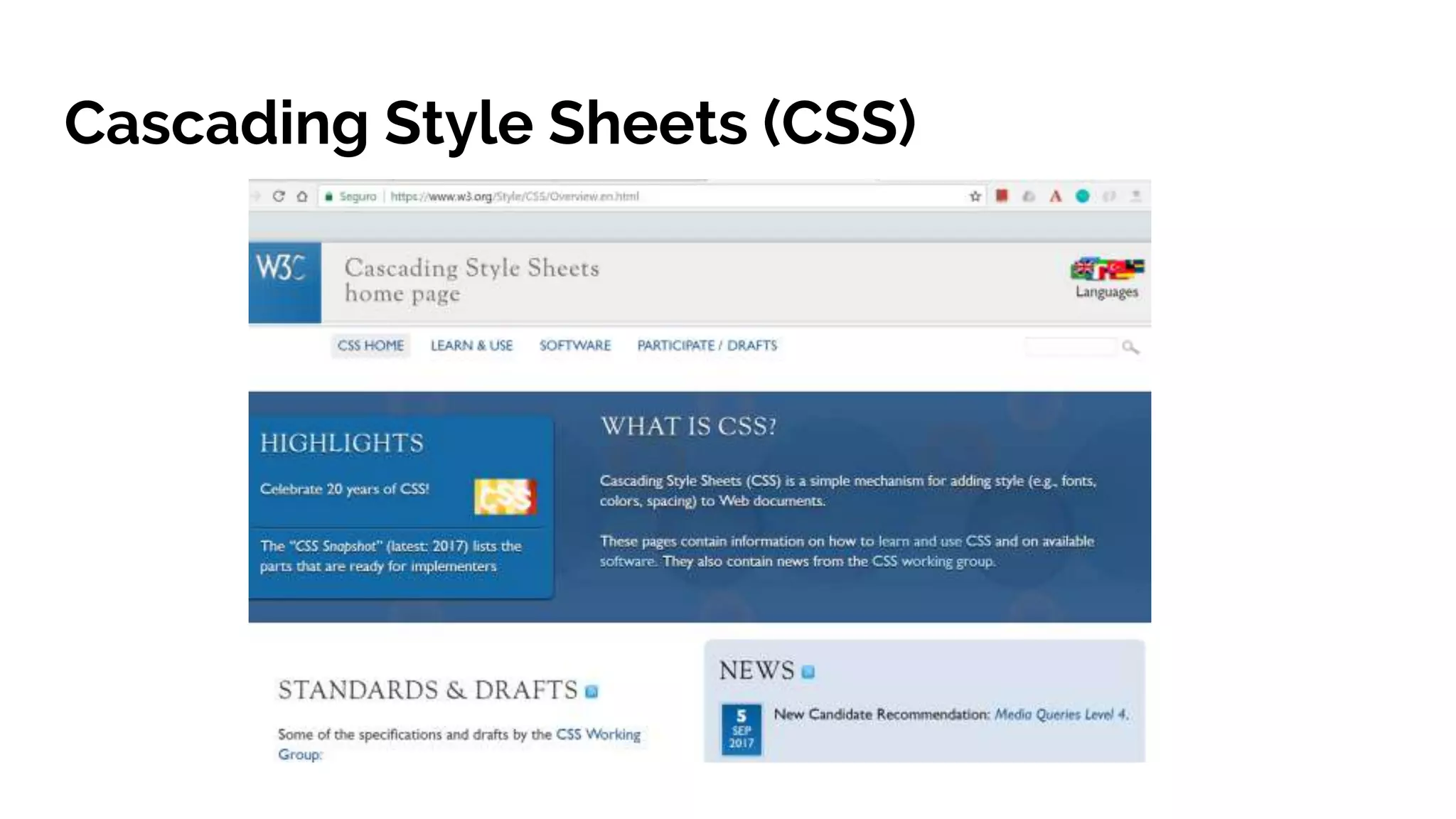Cascading Style Sheets (CSS)
 