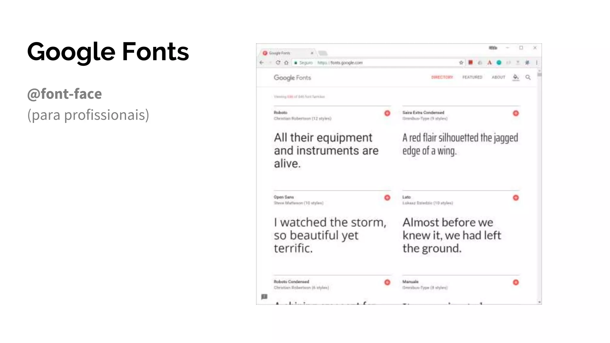 Google Fonts
@font-face
(para profissionais)
 