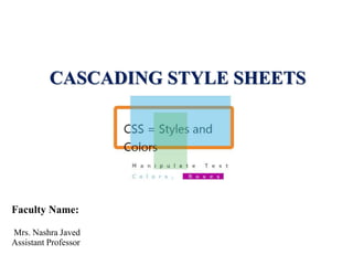 CASCADING STYLE SHEETS
Faculty Name:
Mrs. Nashra Javed
Assistant Professor
 