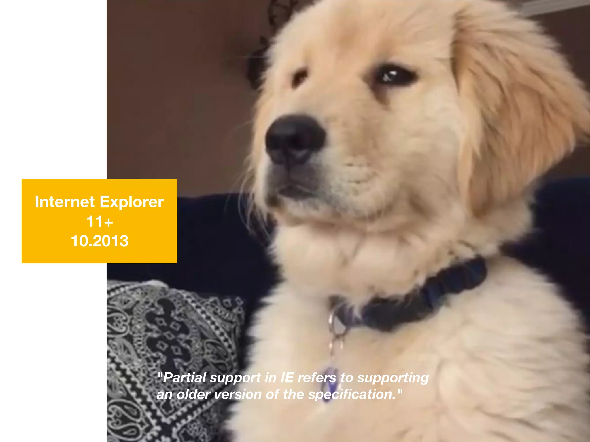 Internet Explorer
11+
10.2013
"Partial support in IE refers to supporting
an older version of the speciﬁcation."
 