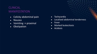 CLINICAL
MANIFESTATION
● Colicky abdominal pain
● Nausea
● Vomiting -> proximal
● Obstipation
● Tachycardia
● Localized abdominal tenderness
● Fever
● Marked leukocitosis
● Acidosis
 
