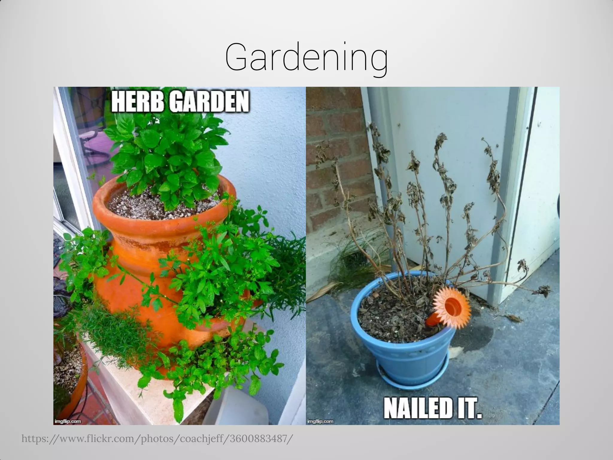 Gardening 
https://www.flickr.com/photos/coachjeff/3600883487/  