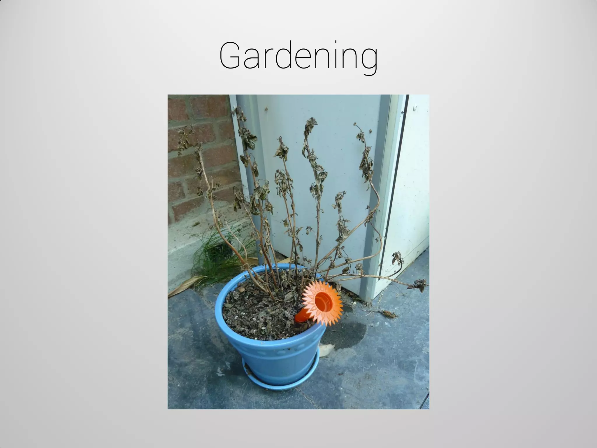 Gardening  