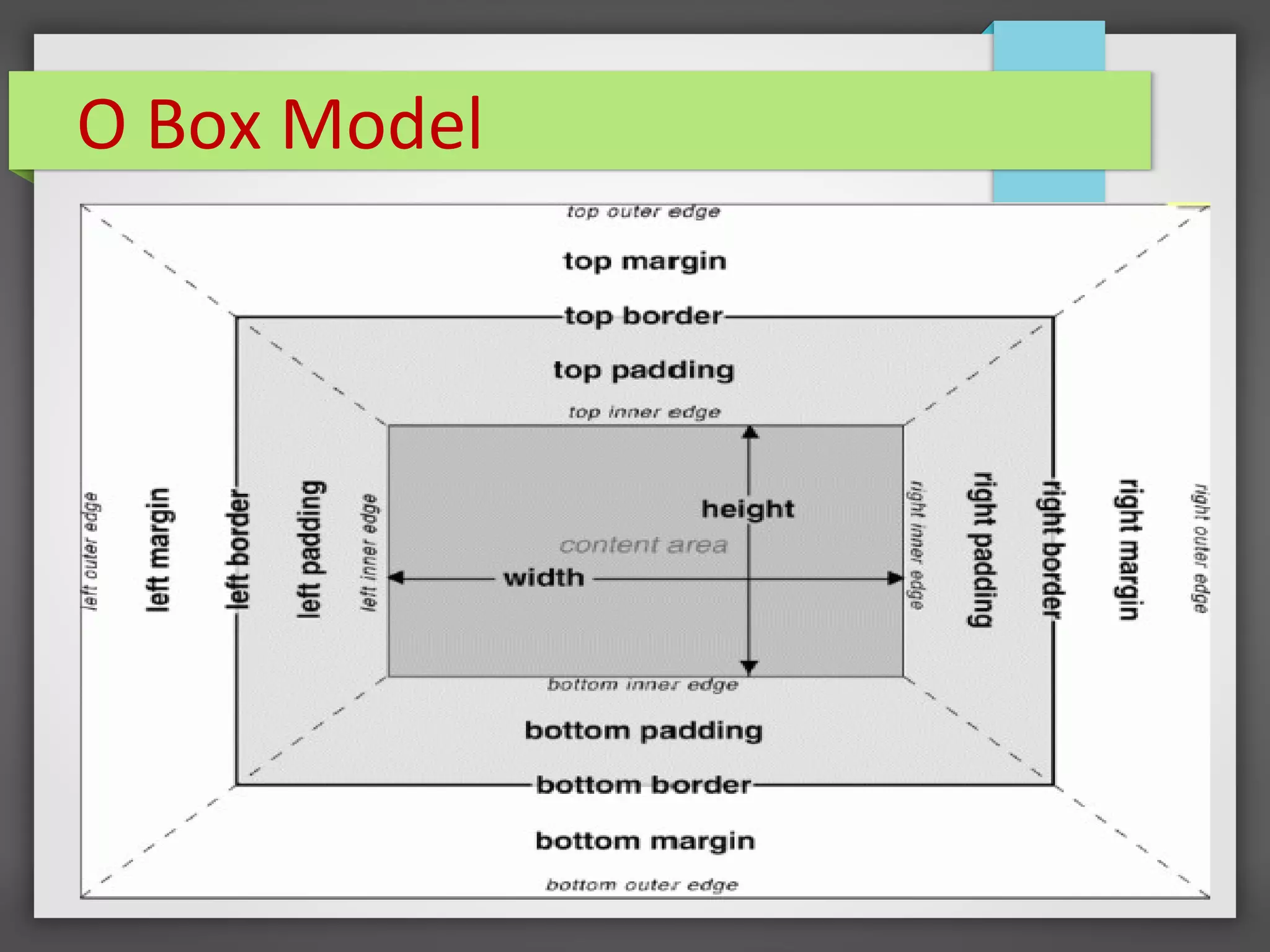 O Box Model
 