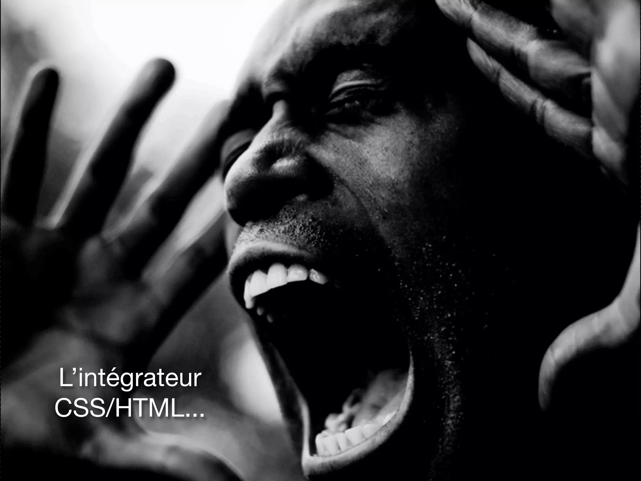 L’intégrateur
CSS/HTML...
 