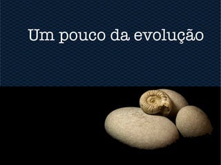 Um pouco da evolução
 