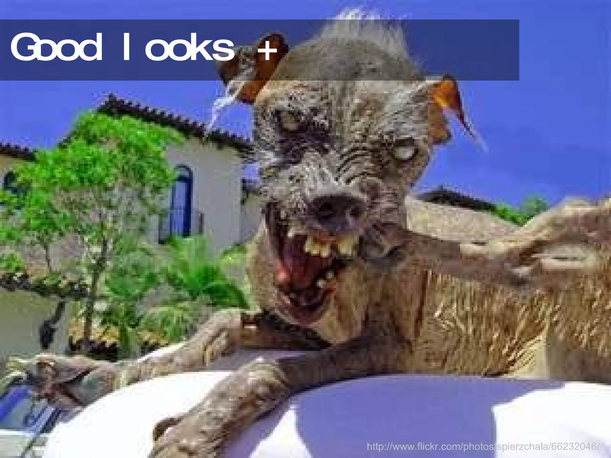 Good looks + http://www.flickr.com/photos/spierzchala/66232046/ 