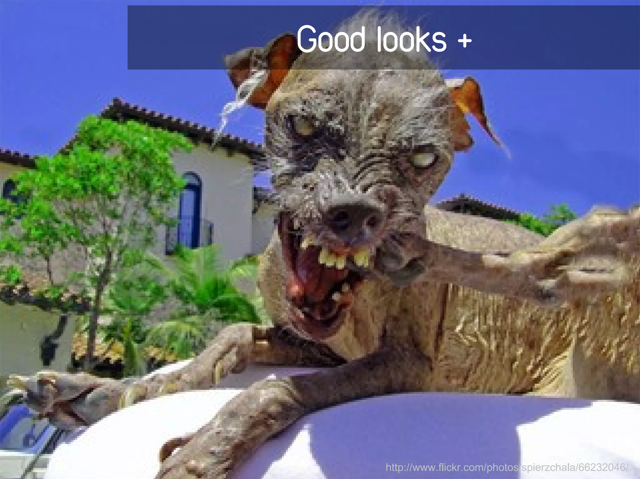 Good looks +




      http://www.flickr.com/photos/spierzchala/66232046/
 