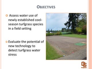 OBJECTIVES
Assess  water  use  of  
newly  established  cool-­‐
season  turfgrass  species  
in  a  field  setting
Evaluate  the  potential  of  
new  technology  to  
detect  turfgrass  water  
stress
 