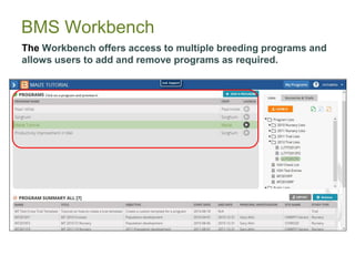 BMS Workbench
The Workbench offers access to multiple breeding programs and
allows users to add and remove programs as req...