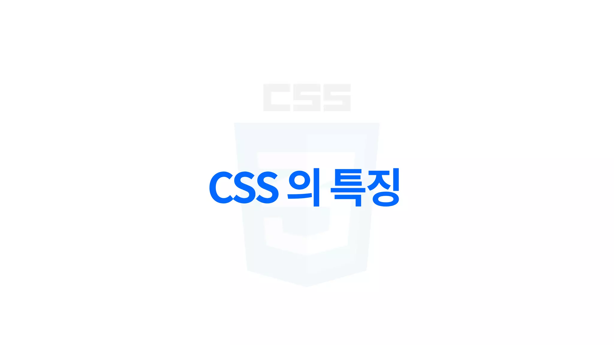 CSS의특징
 