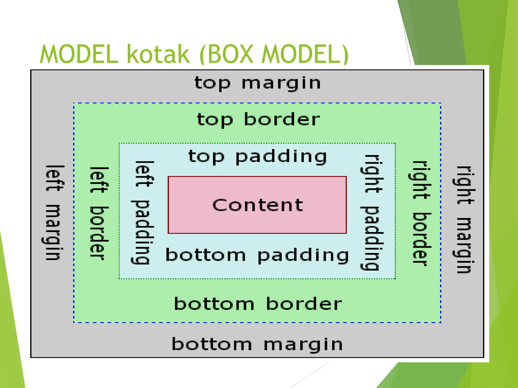 MODEL kotak (BOX MODEL)
 