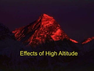 Effects of High Altitude 
 