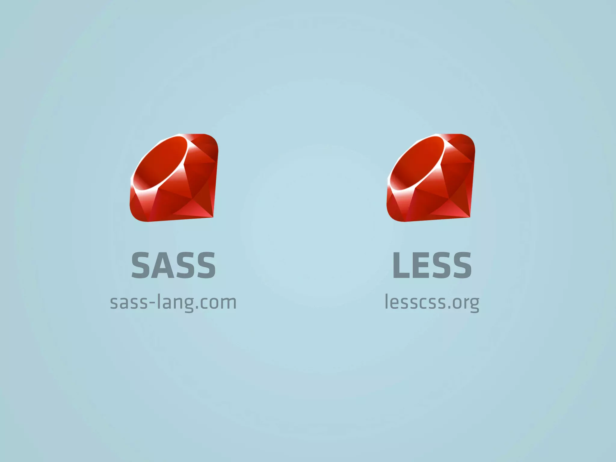 SASS          LESS
sass-lang.com   lesscss.org
 