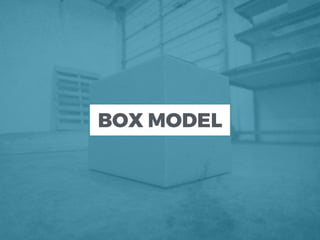 BOX MODEL
 