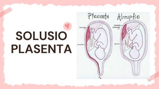 SOLUSIO
PLASENTA
 