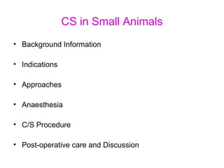 CS in Small Animals
• Background Information
• Indications
• Approaches
• Anaesthesia
• C/S Procedure
• Post-operative care and Discussion
 