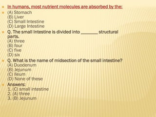  In humans, most nutrient molecules are absorbed by the:
 (A) Stomach
(B) Liver
(C) Small Intestine
(D) Large Intestine
 Q. The small Intestine is divided into _______ structural
parts.
(A) three
(B) four
(C) five
(D) six
 Q. What is the name of midsection of the small intestine?
(A) Duodenum
(B) Jejunum
(C) Ileum
(D) None of these
 Answers:
1. (C) small intestine
2. (A) three
3. (B) Jejunum
 