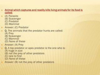  Animal which captures and readily kills living animals for its food is
called:
 (A) Parasite
(B) Scavenger
(C) Predator
(D) Mammal
 Answer: (C) Predator
 Q. The animals that the predator hunts are called:
(A) Prey
(B) Scavenger
(C) Mammal
(D) None of these
 Answer: (A) Prey
 Q. A top predator or apex predator is the one who is:
(A) huge in size
(B) not the prey of other predators
(C) rare to find
(D) None of these
 Answer: (B) not the prey of other predators
 