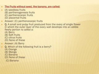  The Fruits without seed, like banana, are called:
 (A) seedless fruits
(B) parthenogenesis fruits
(C) parthenocarpic fruits
(D) placental fruits
 Answer: (C) parthenocarpic fruits
 Q. A small and pulpy fruit produced from the ovary of single flower
in which the outer layer of the ovary wall develops into an edible
fleshy portion is called a:
(A) Berry
(B) Soft fruits
(C) citrus fruits
(D) None of these
 Answer: (A) Berry
 Q. Which of the following fruit is a berry?
(A) Orange
(B) Mango
(C) Banana
(D) None of these
(C) Banana
 