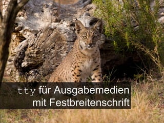 tty  für Ausgabemedien mit Festbreitenschrift 