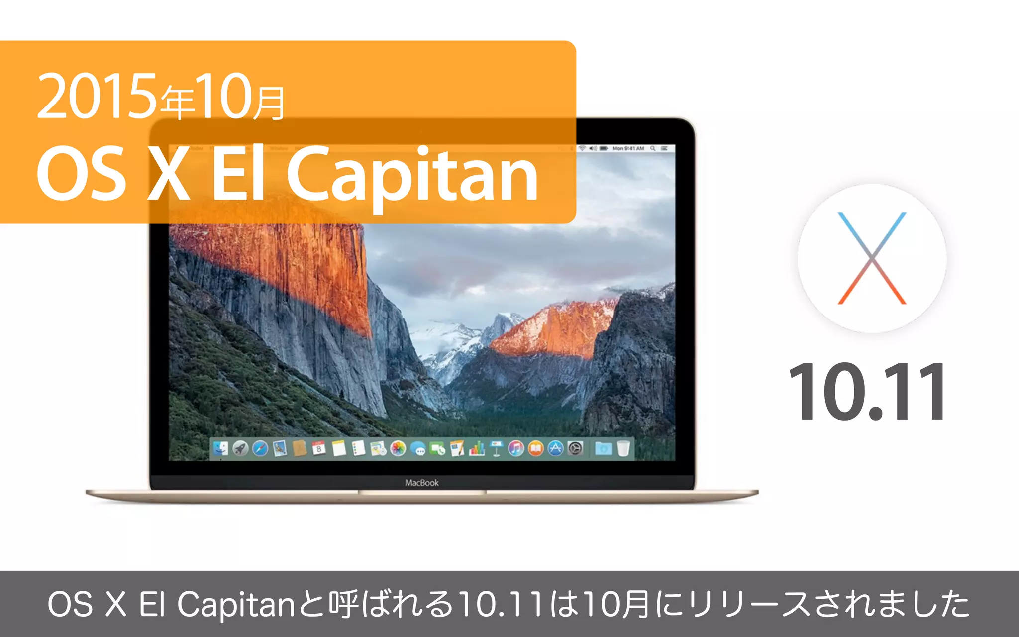 2015年のフォント総括／鷹野 雅弘（スイッチ）