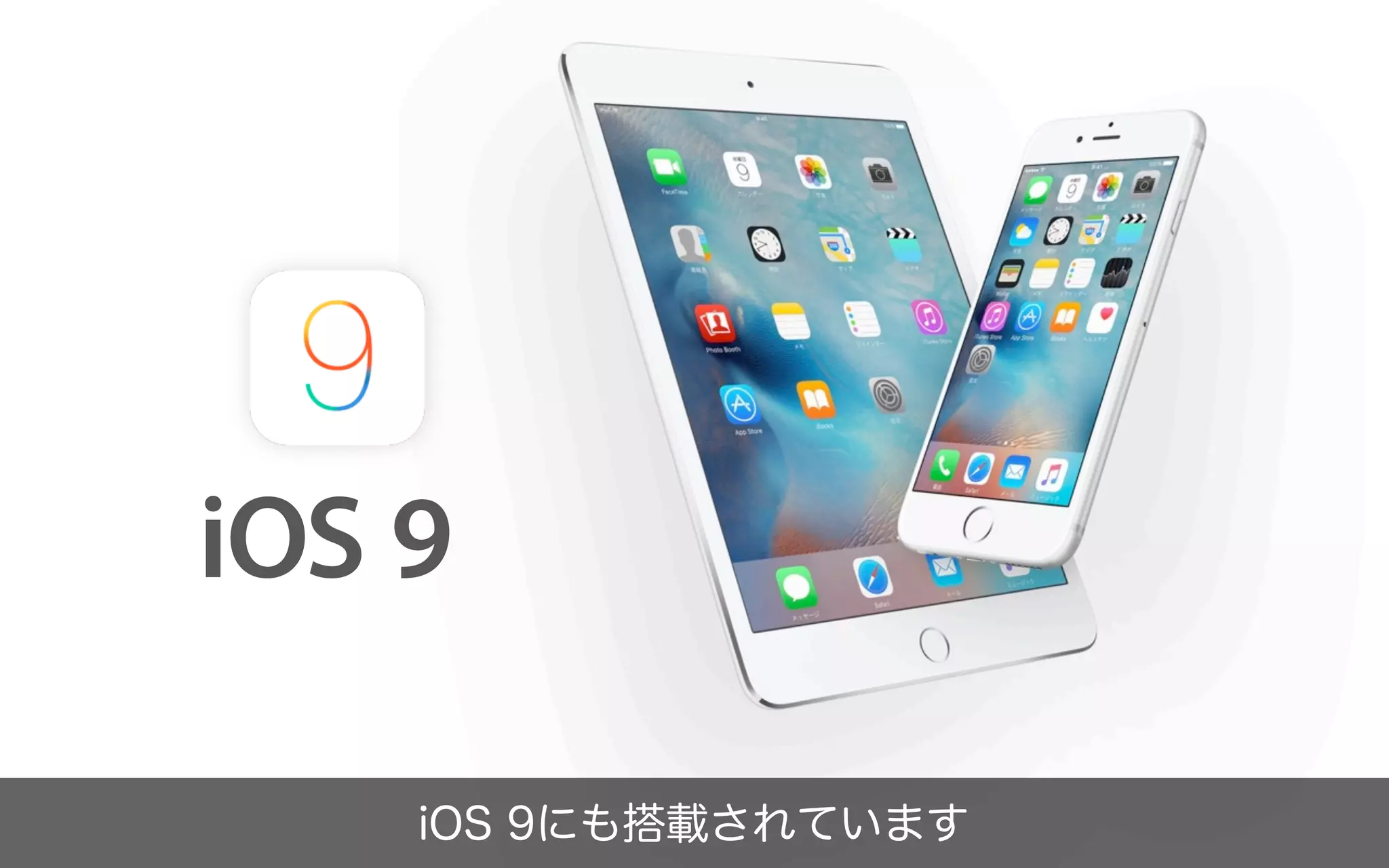 2015年のフォント総括／鷹野 雅弘（スイッチ）