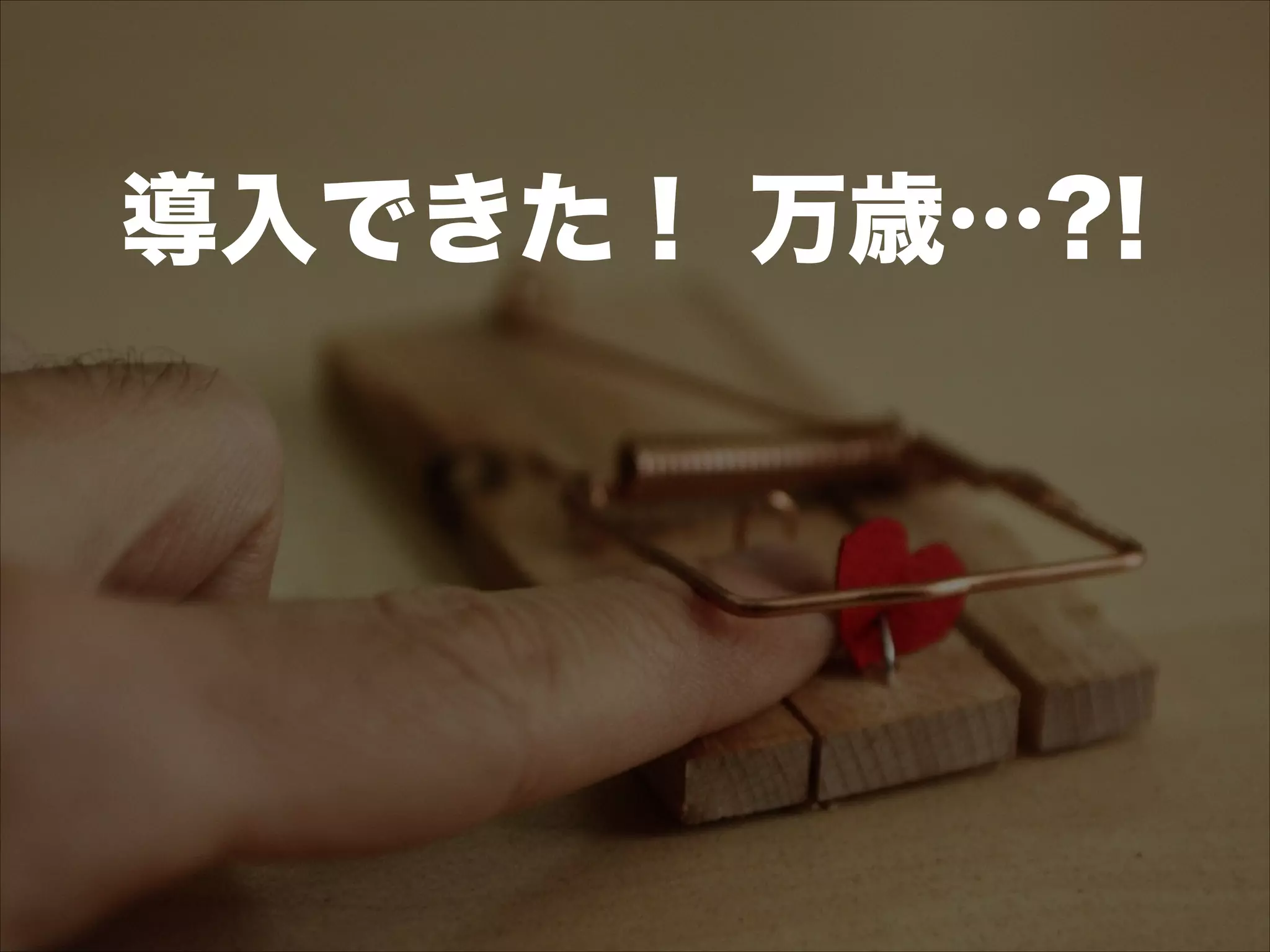 導入できた！ 万歳…?!
 