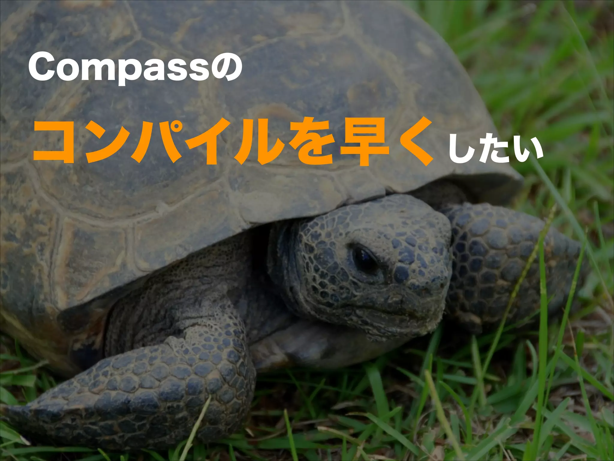 Compassの 
コンパイルを早くしたい
 
