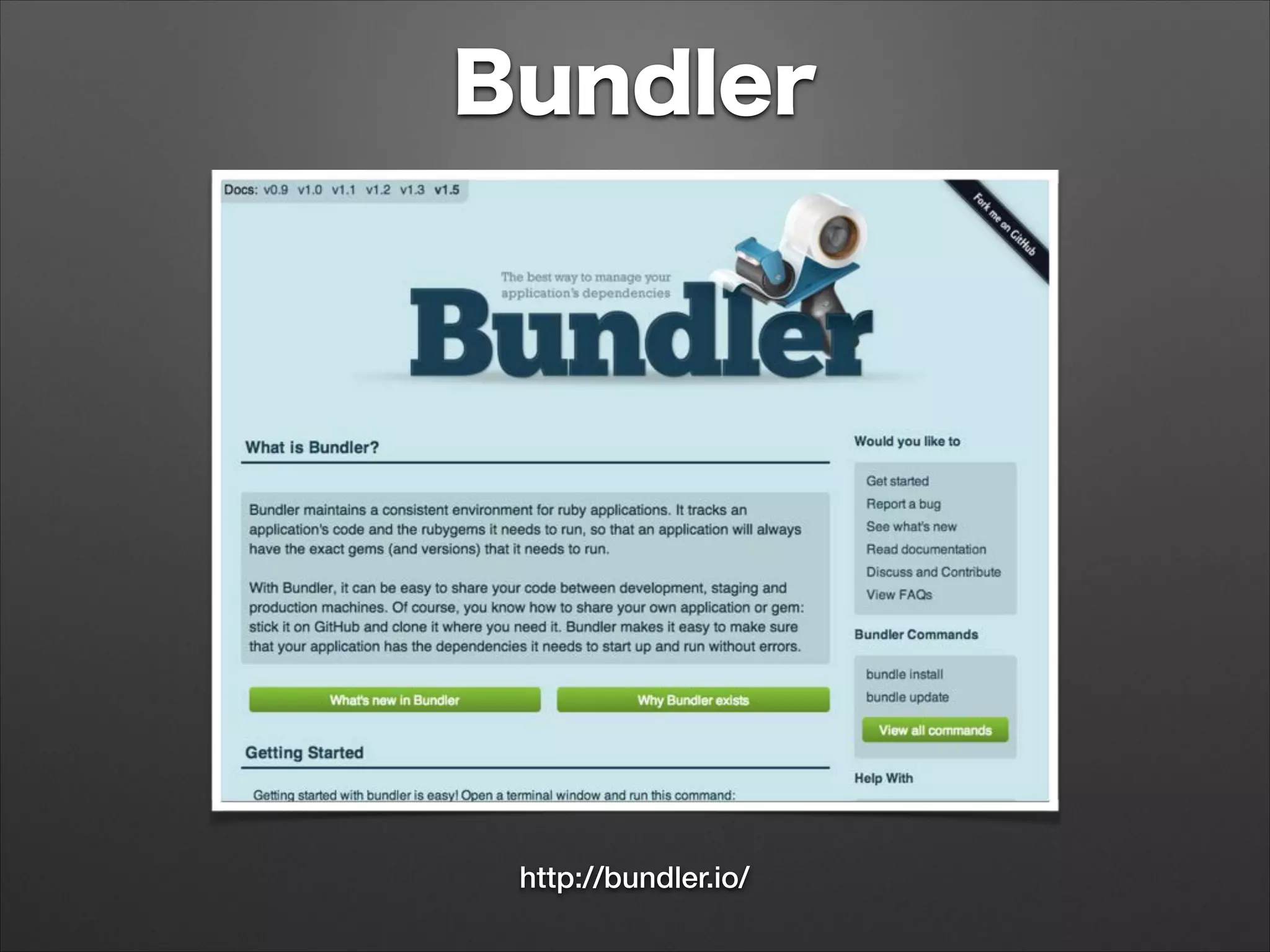 Bundler
http://bundler.io/
 