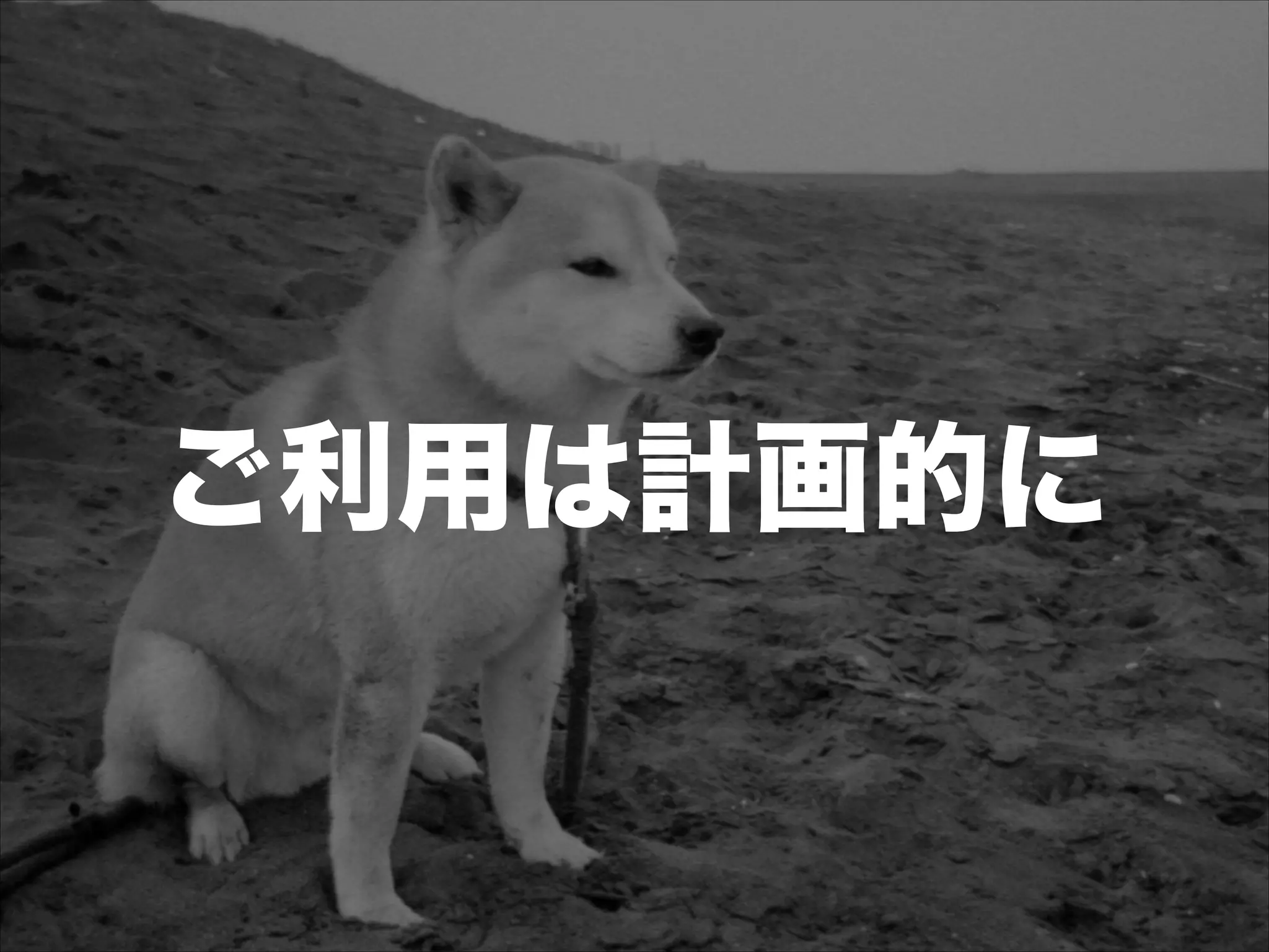 ご利用は計画的に
 