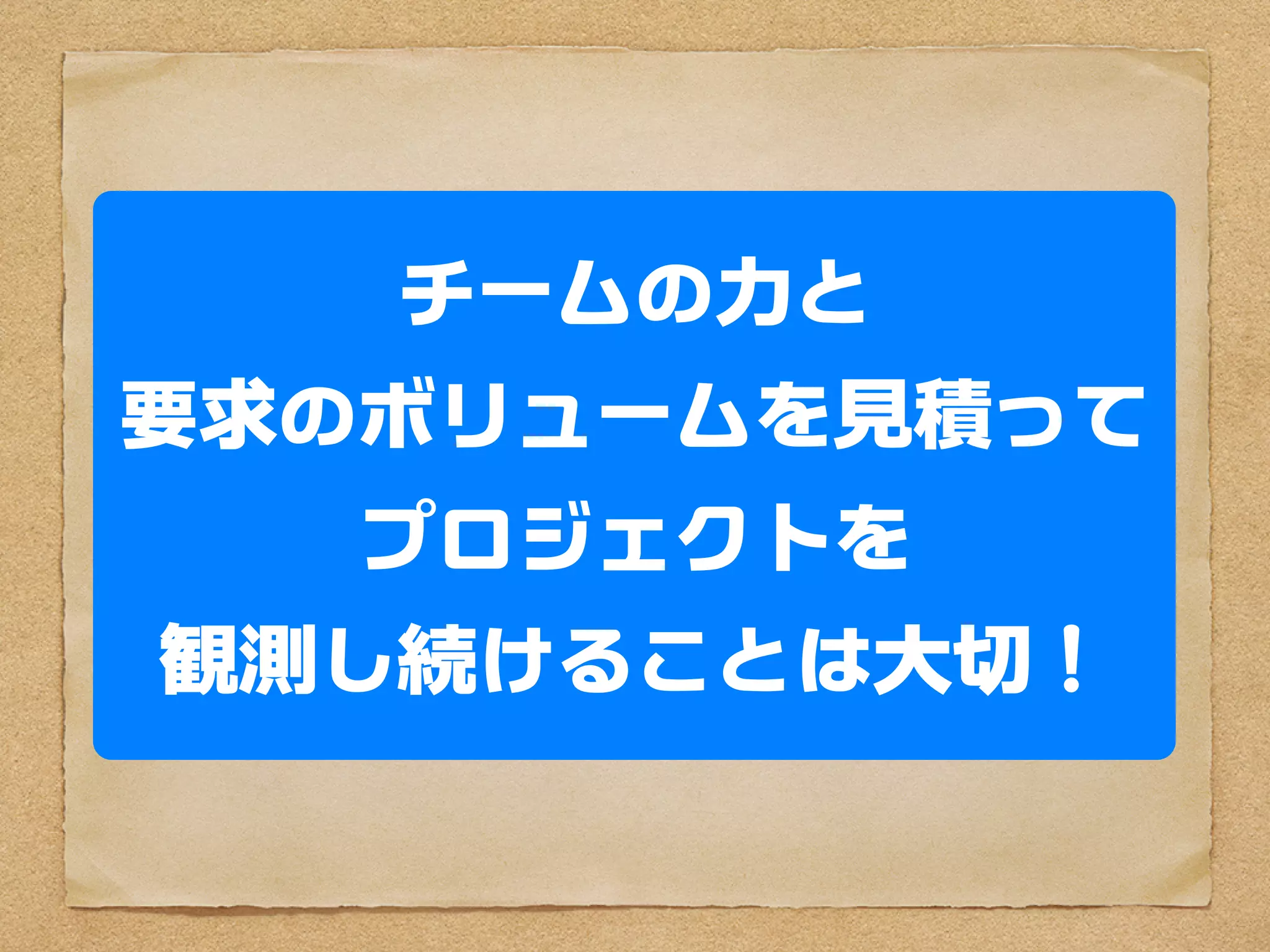 チームの力と
要求のボリュームを見積って
   プロジェクトを
 観測し続けることは大切
 