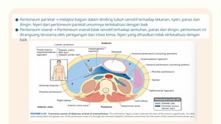 CSS PERITONITIS GENERALISATA.pptxxxxxxxxxxxxxxxxxxxxxxxxxxxxxxxx | PPTX
