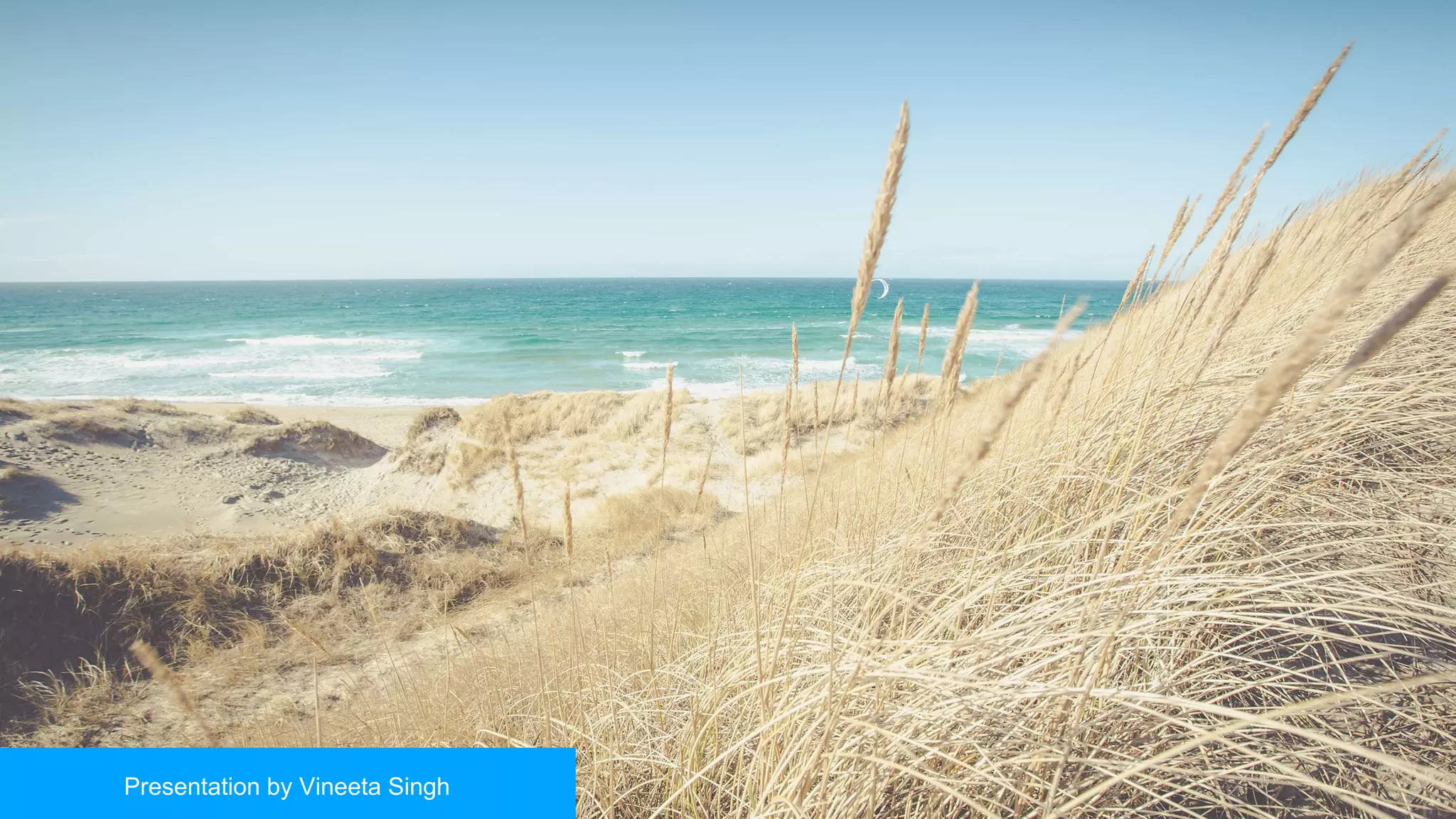 Presentation by Vineeta Singh
 