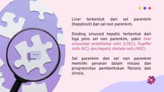 Liver terbentuk dari sel parenkim
(hepatosit) dan sel non parenkim.
Dinding sinusoid hepatic terbentuk dari
tiga jenis sel non parenkim, yakni liver
sinusoidal endothelial cells (LSEC), Kupffer
cells (KC), dan hepatic stellate cells (HSC)
Sel parenkim dan sel non parenkim
memiliki peranan dalam inisiasi dan
progresivitas pembentukan fibrosis dan
sirosis.
 