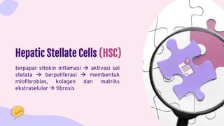 terpapar sitokin inflamasi  aktivasi sel
stelata  berpoliferasi  membentuk
miofibroblas, kolagen dan matriks
ekstraselular  fibrosis
Hepatic Stellate Cells (HSC)
 