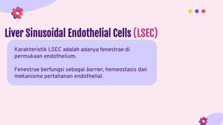 Liver Sinusoidal Endothelial Cells (LSEC)
Karakteristik LSEC adalah adanya fenestrae di
permukaan endothelium.
Fenestrae berfungsi sebagai barrier, hemeostasis dan
mekanisme pertahanan endothelial.
 