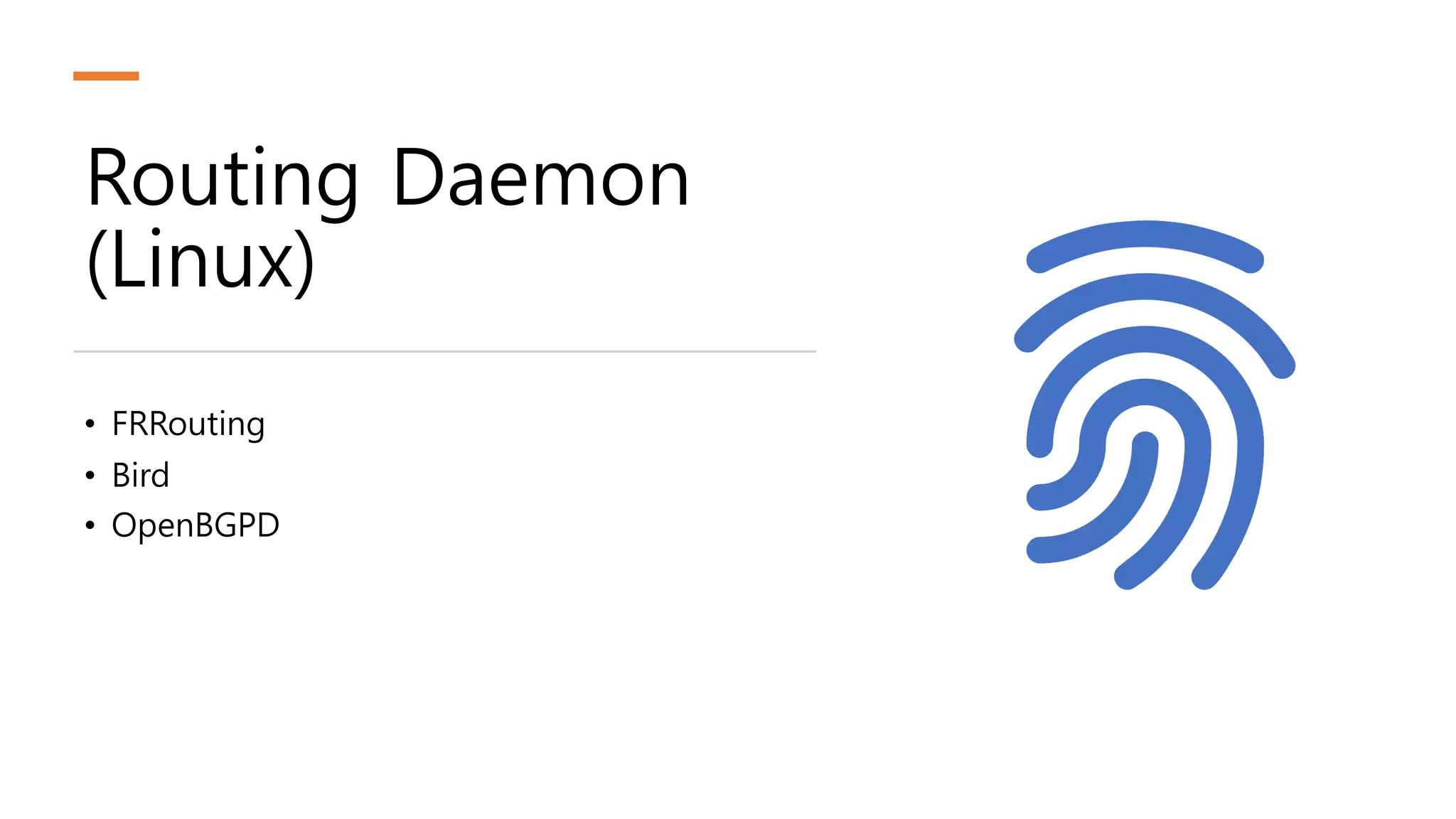 Routing Daemon
(Linux)
• FRRouting
• Bird
• OpenBGPD
 