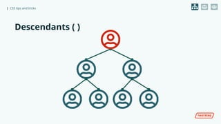 CSS Tips & Tricks | PPTX